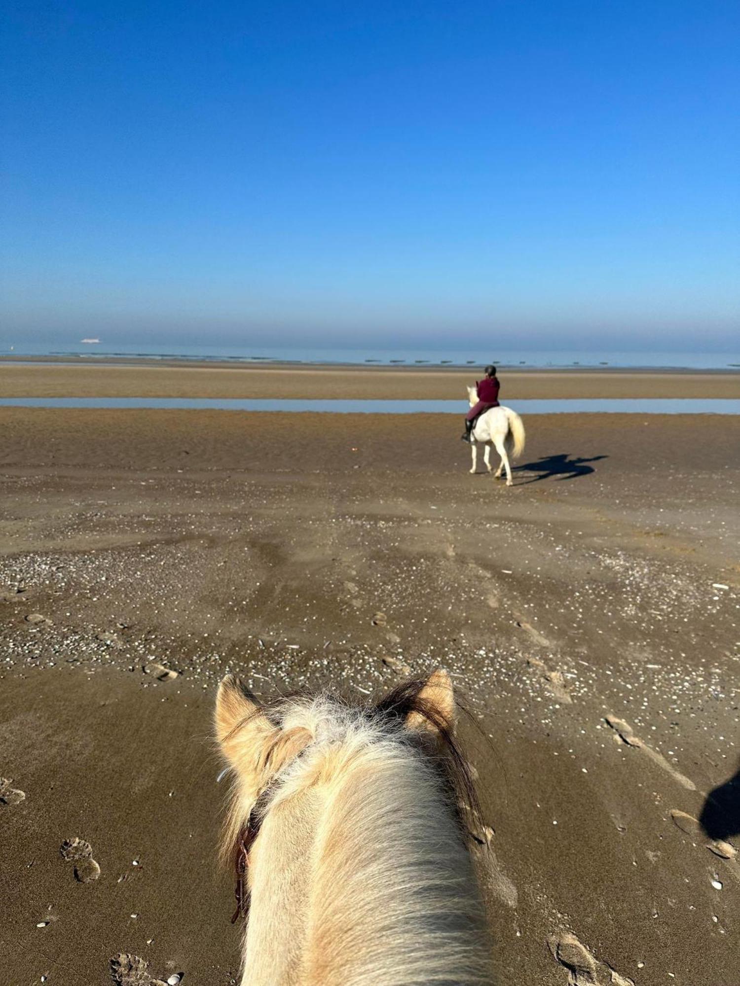 Apartmán Ferme Equestre Oye-Plage Exteriér fotografie